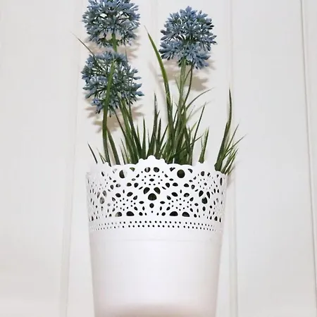 Danish Janne Wolpers * Kellenhusen