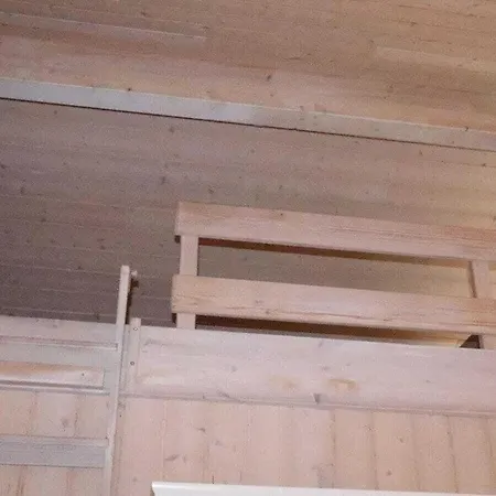 Danish Janne Wolpers *